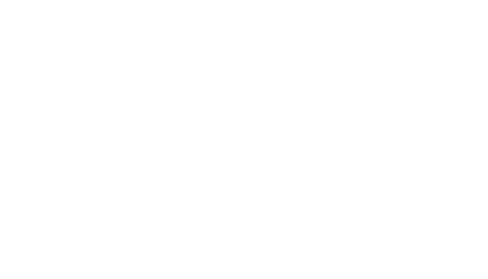 Aliado asegurador: La Monumental Seguros